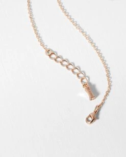 Ted Baker ELVINA -Ted Baker 132046 ASSORTED 4