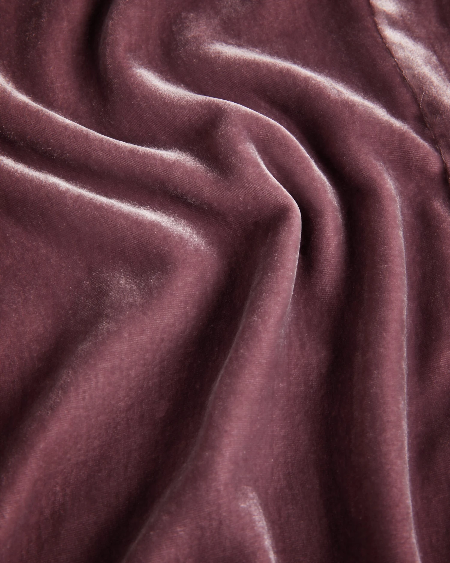 Ted Baker TANSYAT 6 Ted Baker TANSYAT - Image 6