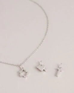 Ted Baker AMYAS -Ted Baker 269290 SILVER COL 4