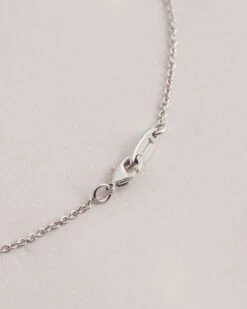 Ted Baker AMYAS -Ted Baker 269290 SILVER COL 5