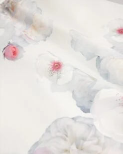 Ted Baker TRINIA -Ted Baker 270571 NATURAL 6