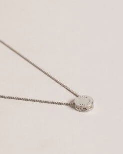 Ted Baker SEBILLE 7 Ted Baker SEBILLE -Ted Baker 273415 SILVER COL 3